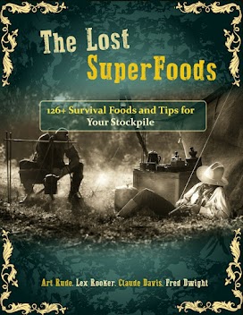 Clay pot of preserved food with dried berries and smoked meat — survival foods from The Lost Super Foods guide